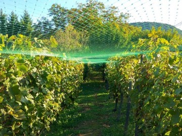 Vogelnet polyester 8 x 8 m groen sfeerfoto hangend